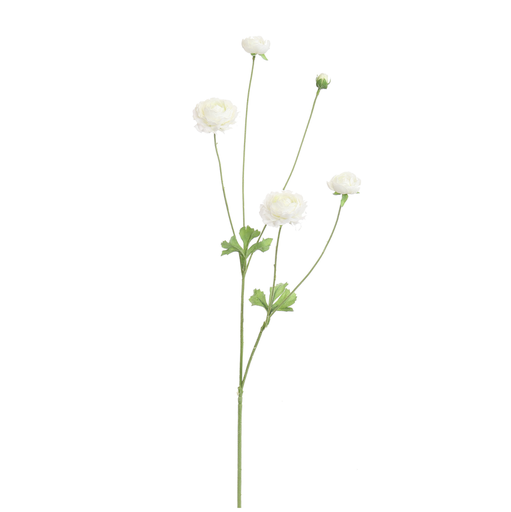 [547322] Jasaco | Sierbloem Ranunculus Cream 90cm
