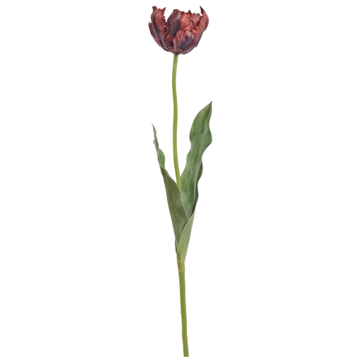 [547327] Jasaco | Sierbloem Parrot Tulip Red 66cm
