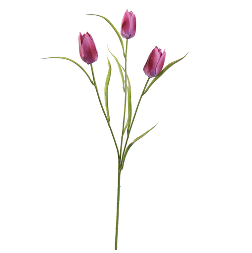 [547328] Jasaco |  TULIP SPRAY 60CM BEAUTY