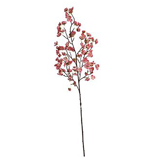 [547329] Jasaco | Siertak Blossom Beauty 103cm 