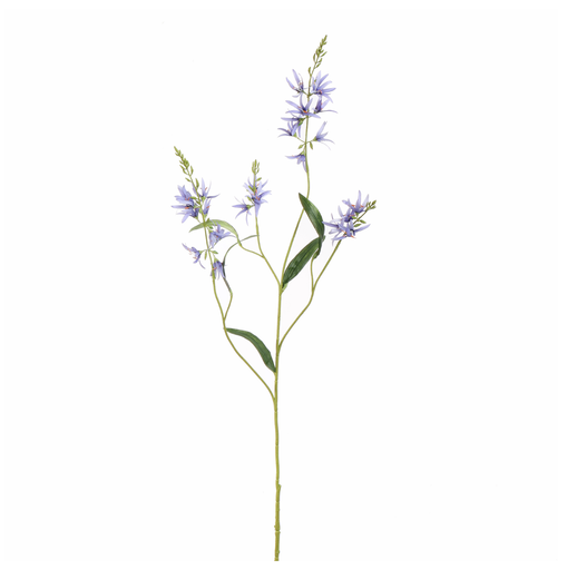 [547340] Jasaco | Sierbloem Camassia Blue 101cm