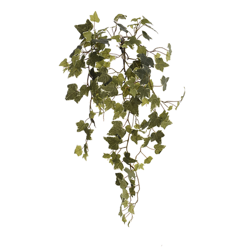 [547352] Jasaco |  HANGING IVY VINE 107CM W/140 LVS HOLLAND IVY