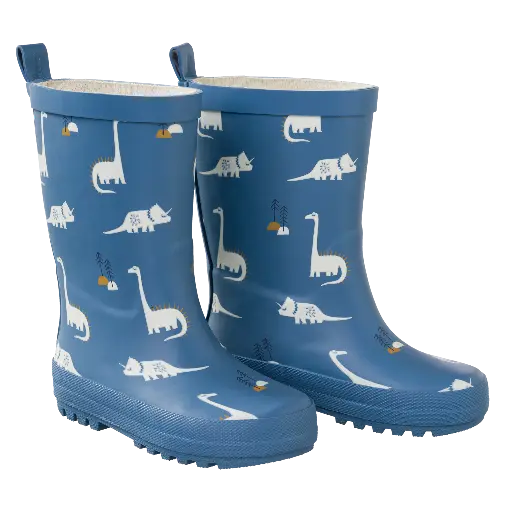 Fresk | Schoenen Rainboots Dino 