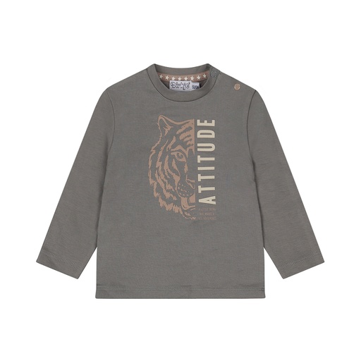 Dirkje | T-shirt Boys Safari Friends T-shirt Longsleeve Grey
