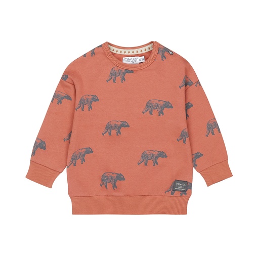 Dirkje | Pull Boys Wildland Sweater With Crew Neck Rust