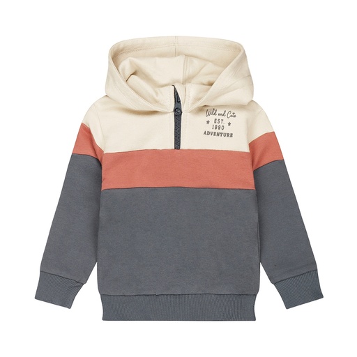 Dirkje | Pull Boys Wildland Sweater With Hood Navy