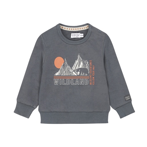 Dirkje | Pull Boys Wildland Sweater Navy