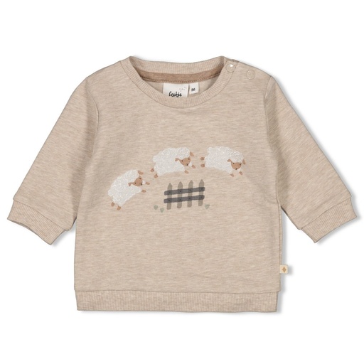 Feetje | Pull Sleepy Sheepy Taupe Melange