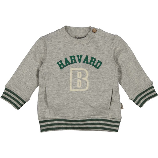 Bess | Pull Boys Harvard Grey Melange