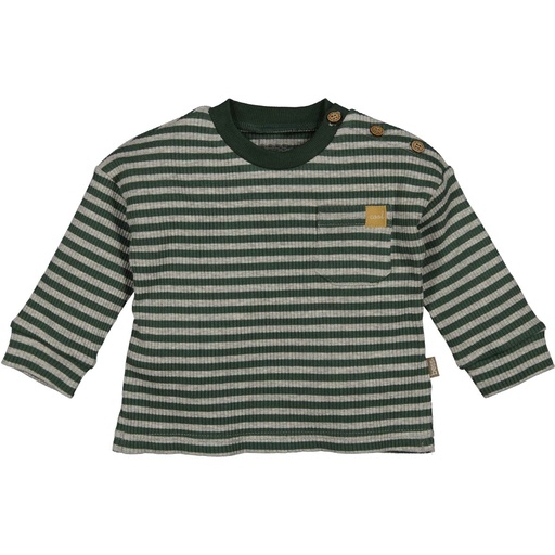 Bess | T-shirt Boys Longsleeve Striped Dessin