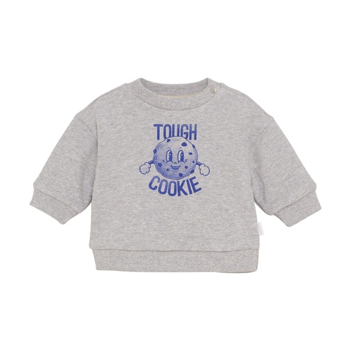 Noppies | Pull Boys Sardesi Grey Melange
