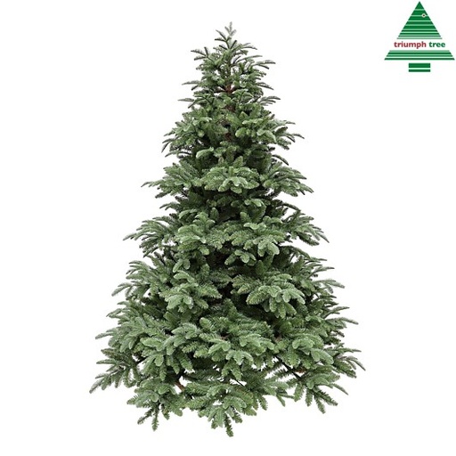 [561757] Black Box | Kerstboom Arlington Groen 230 x Ø173cm 