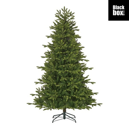 [561758] Black Box | Delmonto Groen 230 x Ø140cm 