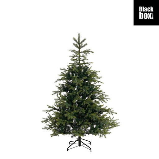 [561762] Black Box | Kerstboom Grimshaw Groen 185 x Ø132cm 