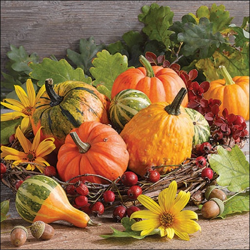 [565511] Ambiente | Servetten Pumpkin Varieties 3-laags 100%FSC 33x33cm 20-pack