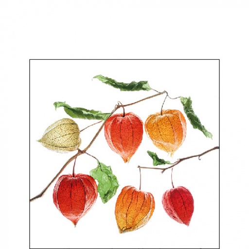 [565513] Ambiente | Servetten Lampion Flower 3-laags 25x25cm 20-pack