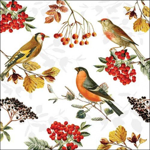 [565518] Ambiente | Servetten Autumn Birds 3-laags 100%FSC 33x33cm 20-pack