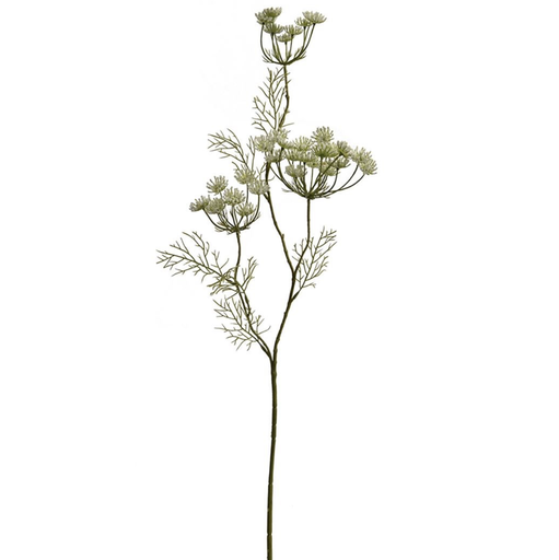 [569213] Jasaco | Siertak Anethum Cream 83cm