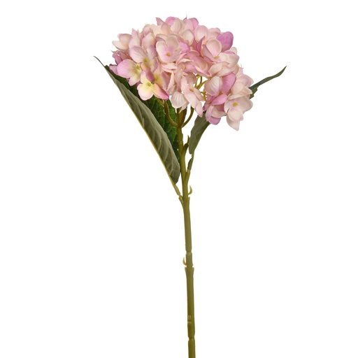 [569219] Jasaco | Sierbloem Hydrangea Old Pink 45cm 