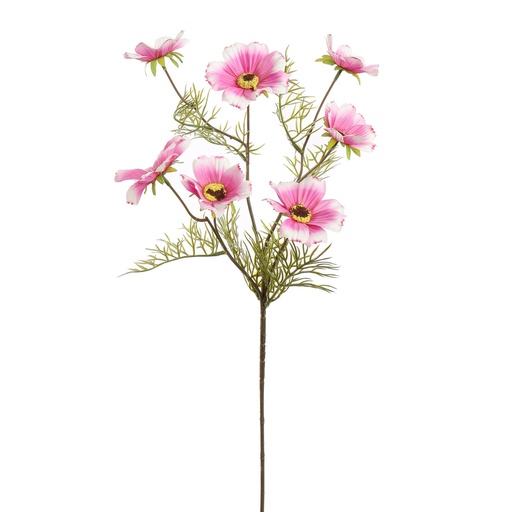 [569224] Jasaco | Sierbloem Cosmos Cream Pink 75cm 