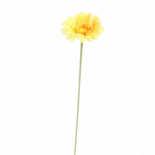 [569225] Jasaco | Sierbloem Gerbera Yellow 58cm 