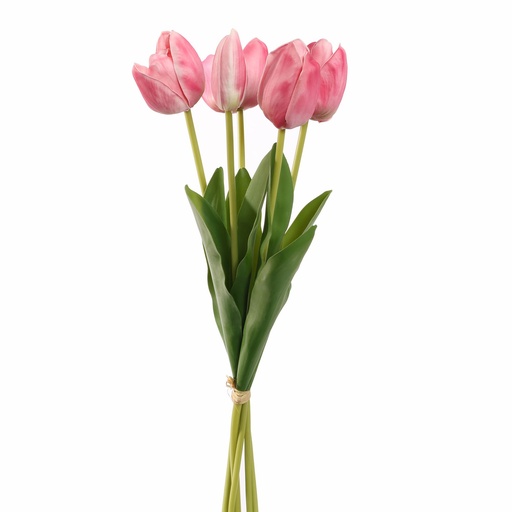 [569226] Jasaco | Sierbloem Tulip Bundle Beaty 48cm 