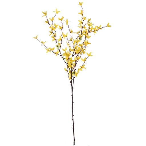 [569238] Jasaco |  FORSYTHIA SPRAY 80CM YELLOW