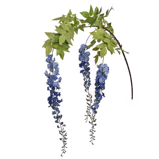 [569239] Jasaco | Siertak Giant Wisteria Blue 170cm 