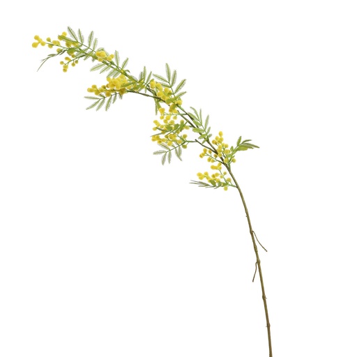 [569240] Jasaco | Siertak Mimosa Yellow 105cm 