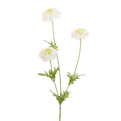 [569241] Jasaco | Sierbloem Marigold Cream 65cm