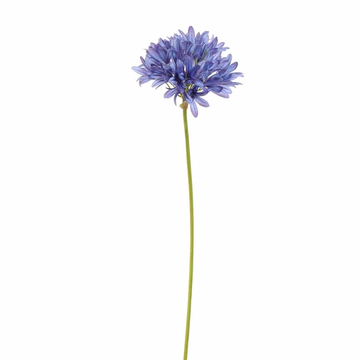 [569243] Jasaco | Sierbloem Agapanthus Blue 77cm