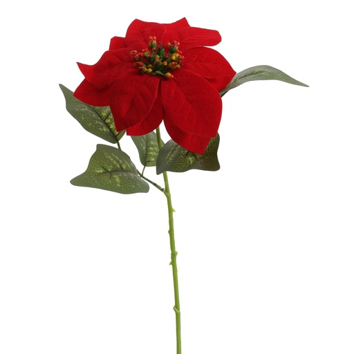 [569261] Jasaco | Siertak Poinsettia Red 45cm 