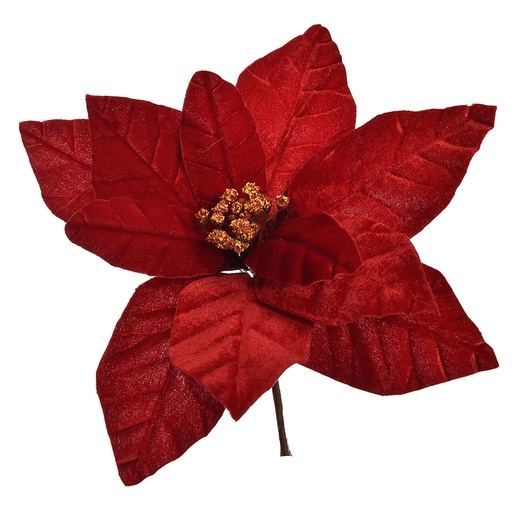 [569264] Jasaco | Siertak Velvet Poinsettia Red 18cm 