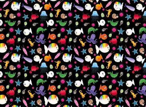 Clavis | Inpakpapier Rol 70x200cm 