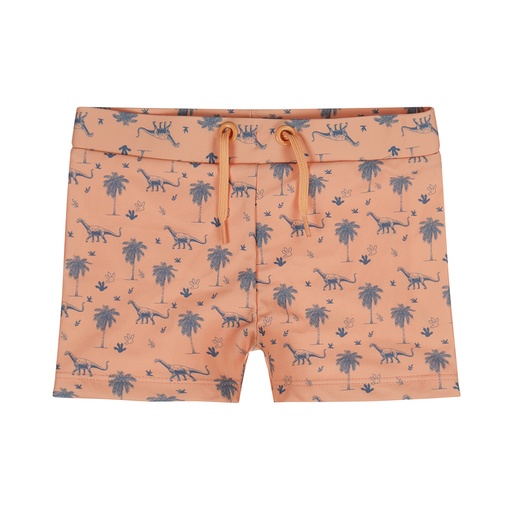 Dirkje | Zwemshort Boys Rock Coral