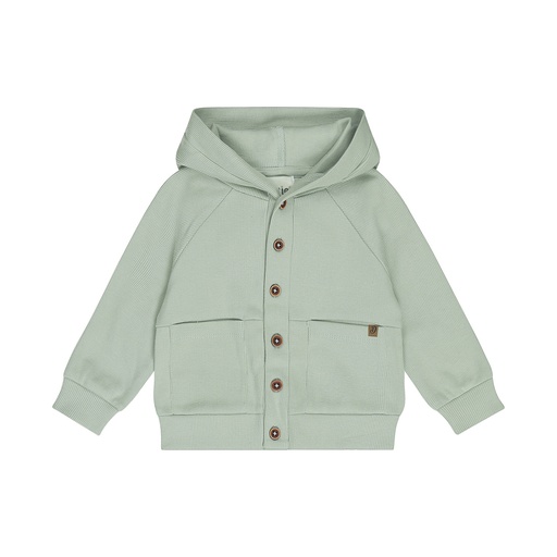 Dirkje | Vest Boys Santa Monica Soft Sage
