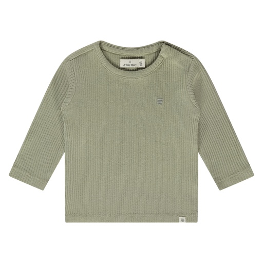 A Tiny Story | T-shirt Uni Longsleeve Moss