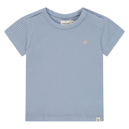 A Tiny Story | T-shirt Boys Light Blue