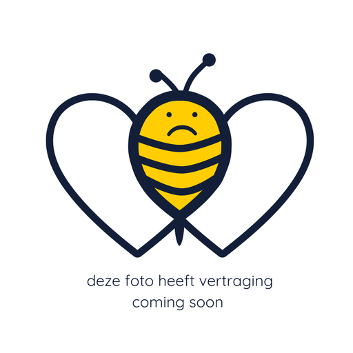 [572897] Nattou | Educatief Speelgoed Pop-It Afstandsbediening Siliconen