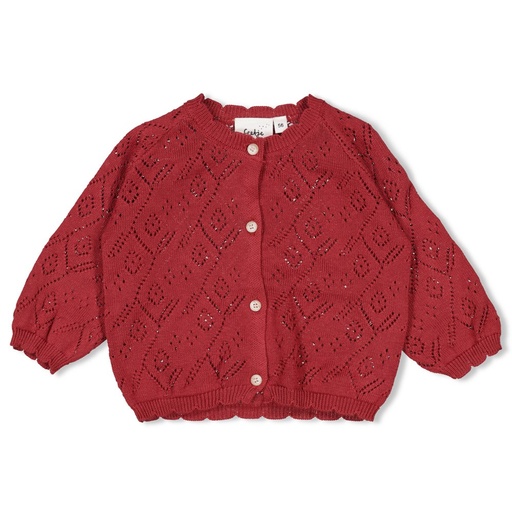 Feetje | Vest Girls Ladybug Berry