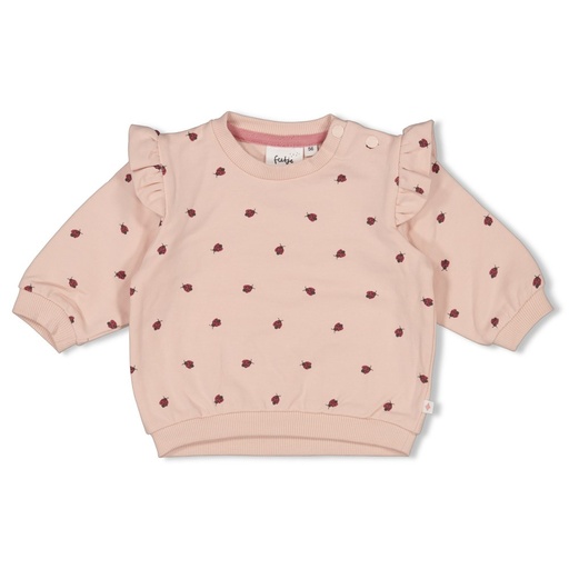 Feetje | Sweater Girls Ladybug Light Pink
