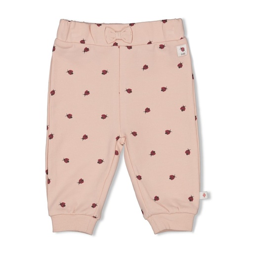 Feetje | Legging Girls Ladybug Off White (kopie)