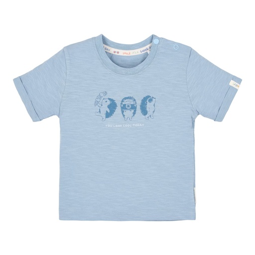 Little Dutch | T-shirt Boys Steel Blue