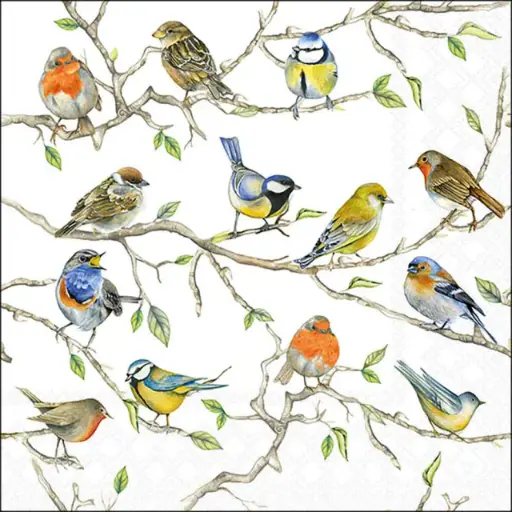[579107] Ambiente | Servetten Birds Meeting 3-laags 100%FSC 33x33cm 20-pack