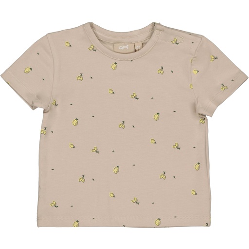 QPI | T-shirt Boys Lars Taupe Sketch