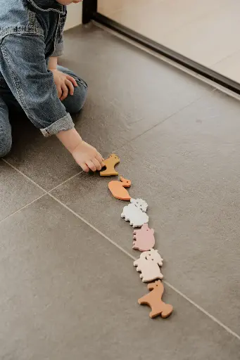 [580371] Moes Play | Educatief Speelgoed Magnetic Farm Animals