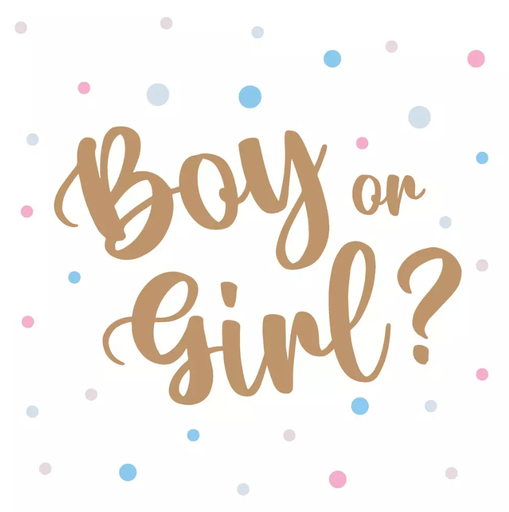 [580595] Duni | Servetten Boy Or Girl 3-laags 33x33cm 20-pack