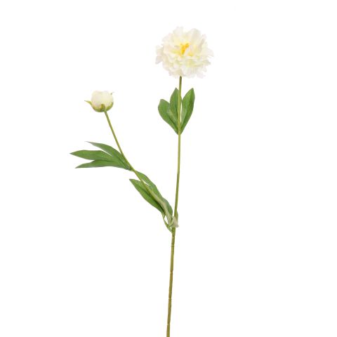 [580738] Jasaco | Sierbloem Peony Cream 65cm