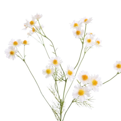 [580741] Jasaco | Sierbloem Mini Daisy White76cm