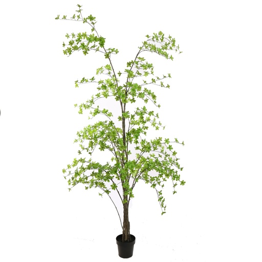 [580764] Jasaco | Sierplant Japanse Zen Tree Green 250cm
